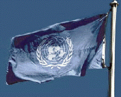 UNTEA-vlag