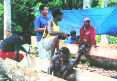 kanobouw in dorp 