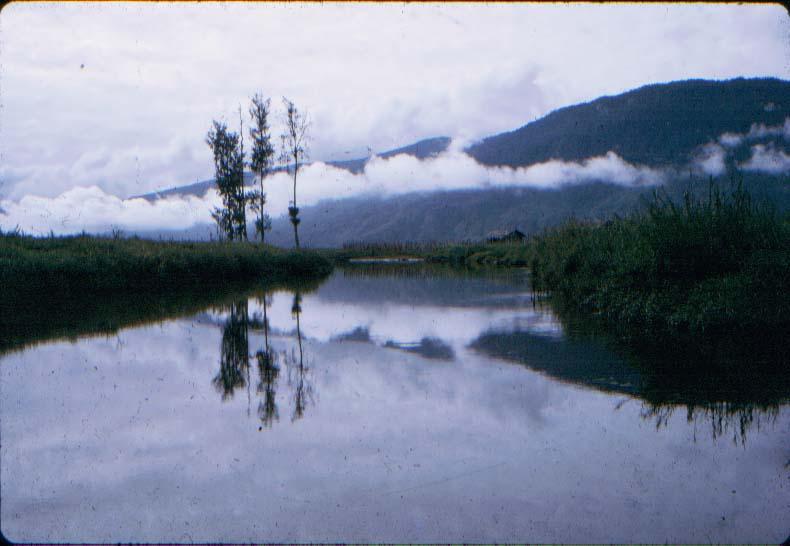 BD/37/64 -
De Kugapa-rivier vanaf de grond gezien.