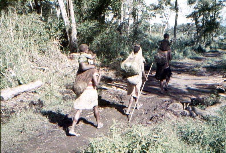 BD/37/210 -
Wamena: towards the market 2