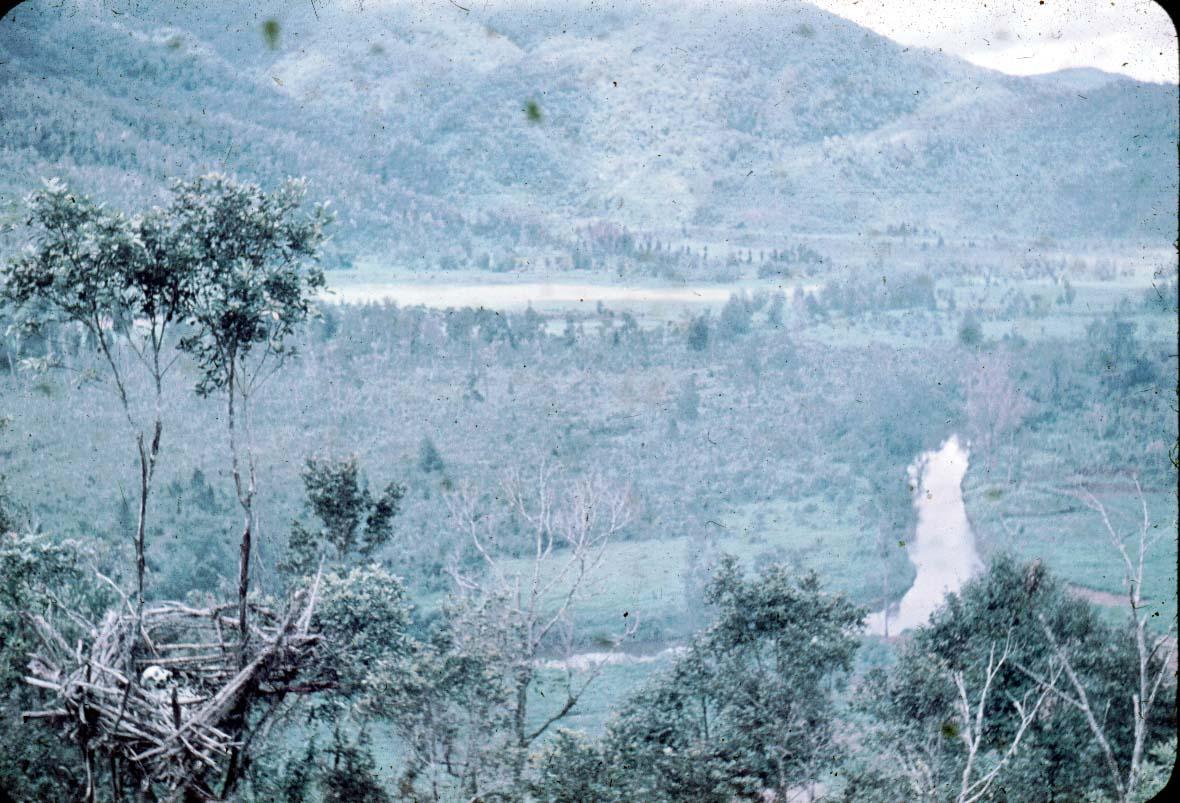 BD/24/17 - 
Afbeelding met links onderaan een skelet in een boomtop; op de achtergrond de rivier Ara.
