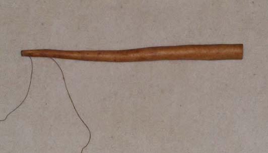 EA/66/8 - 
penis gourd
