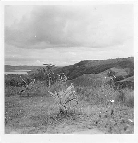 BD/128/7 -
Landschap