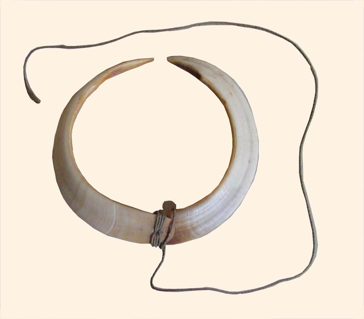 EA/99/32 - 
nasal ornament
