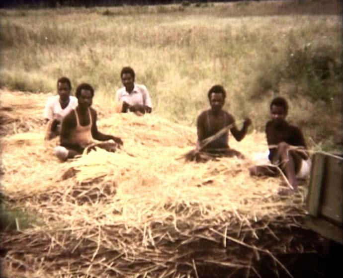 FI/40/28 -
Sentani / Wamena / Ilaga / Nabire
