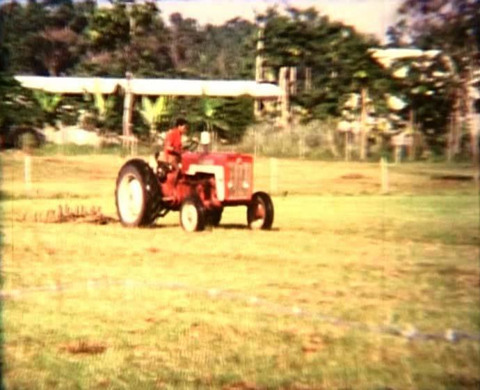 FI/40/28 -
Sentani / Wamena / Ilaga / Nabire