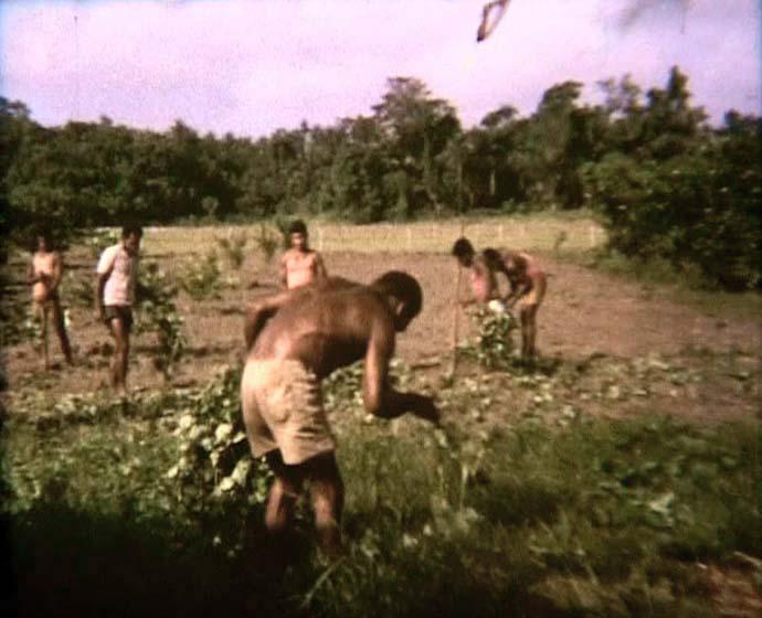 FI/40/28 -
Sentani / Wamena / Ilaga / Nabire