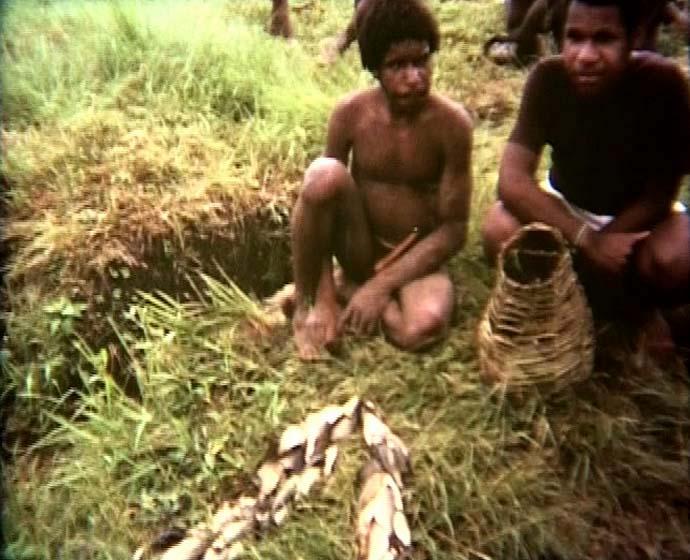 FI/40/28 -
Sentani / Wamena / Ilaga / Nabire