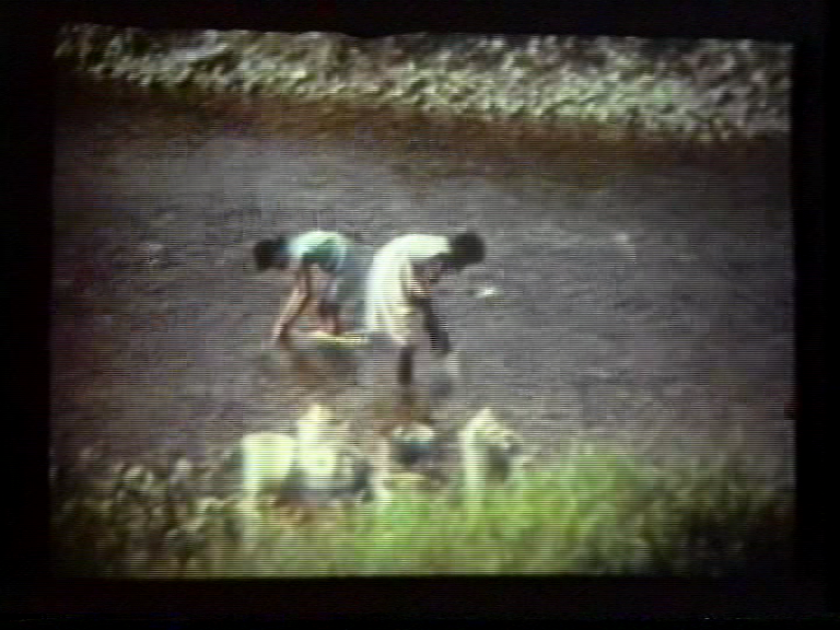 FI/1200/33 - 
Gourd Men of New Guinea, The
