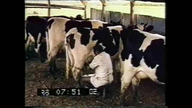 FI/1200/94 -
Missie in West Nieuw-Guinea 1, 2, 3