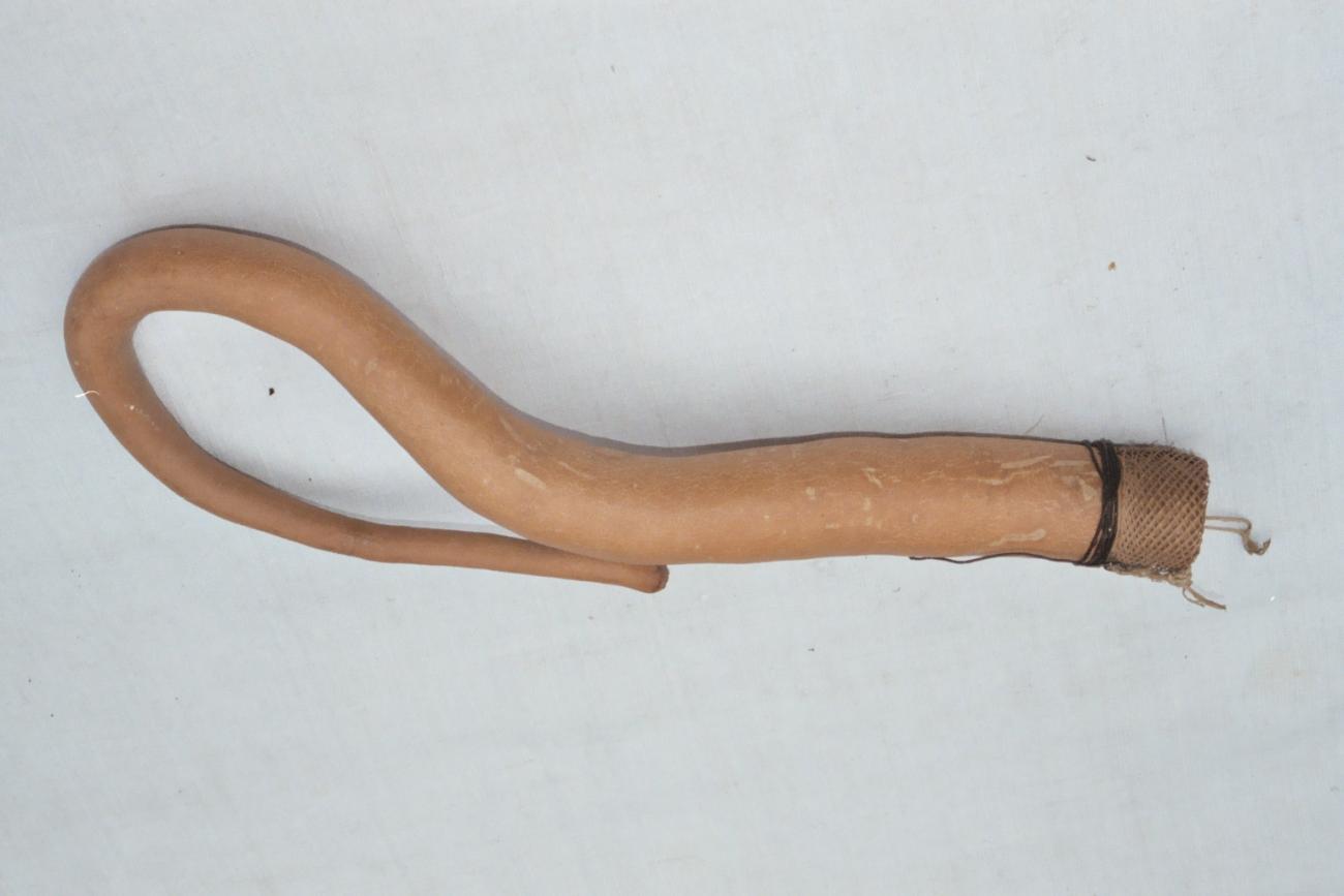 EA/129/8 -
penis gourd