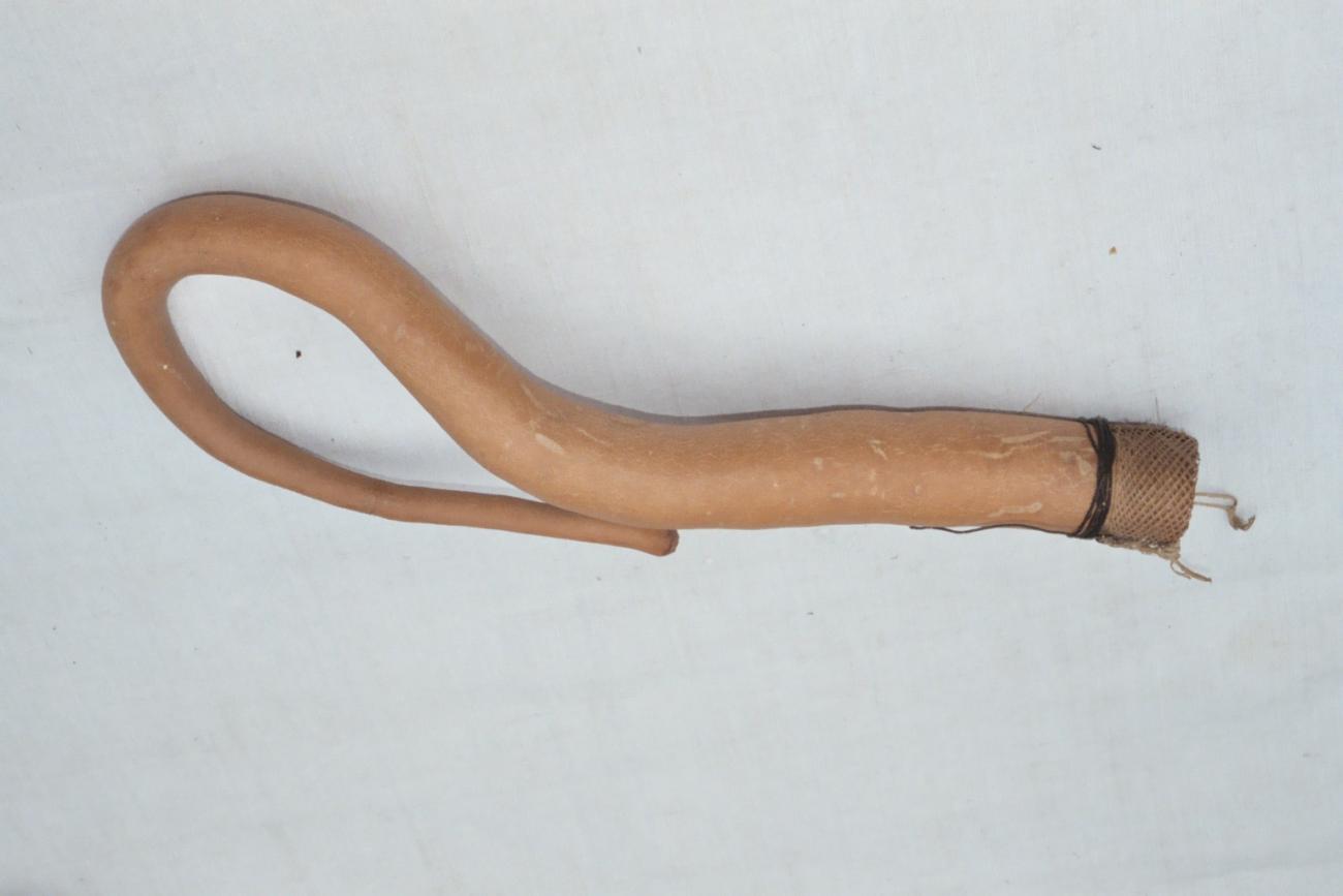 EA/129/8 -
penis gourd