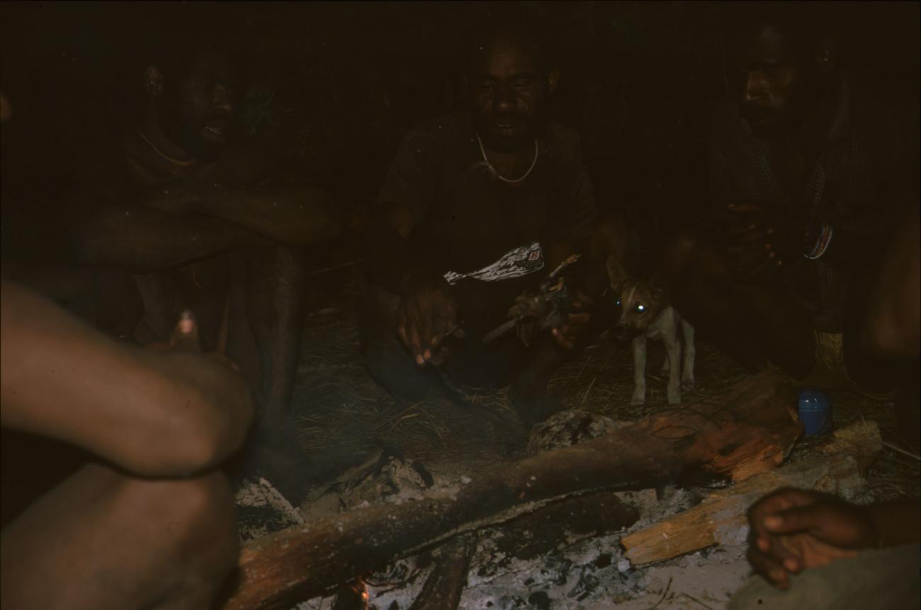 BD/166/108 -
Dog on wood fire 4
