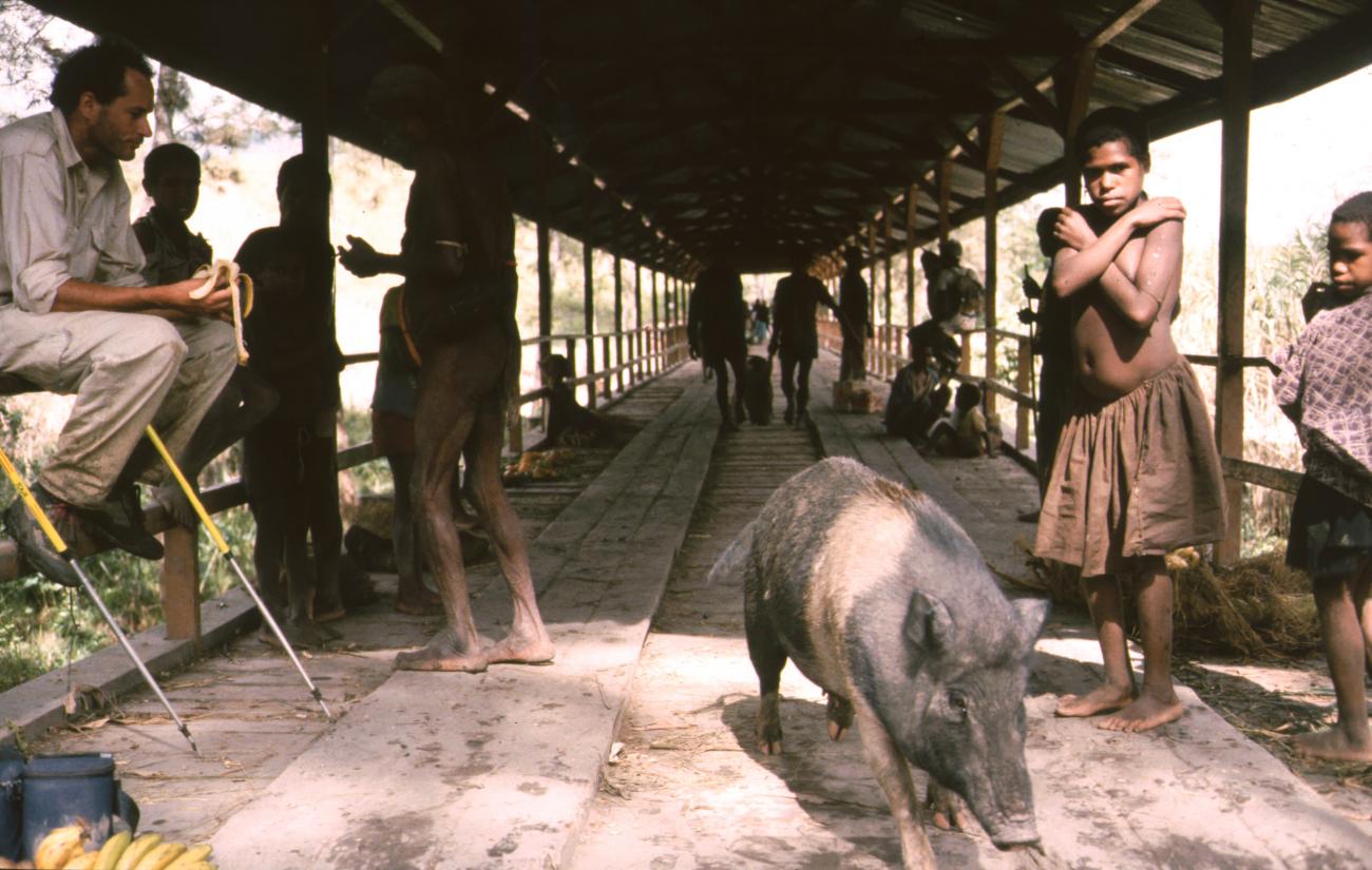 BD/166/217 -
Pig on a roofed bridge