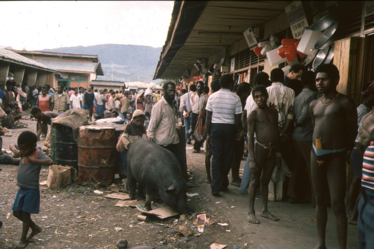 BD/166/286 -
Scrambling pigs at the market