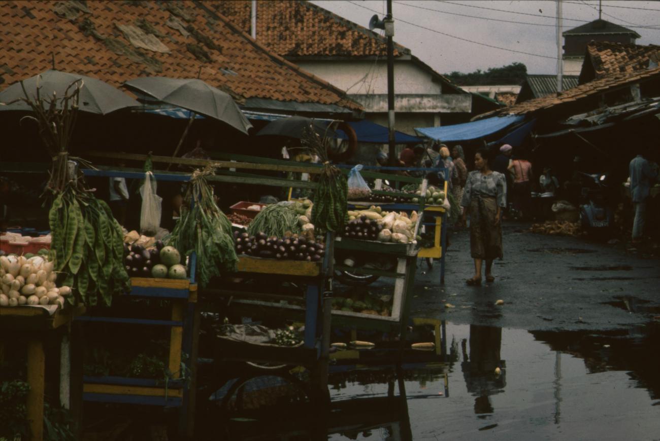 BD/166/316 -
The market