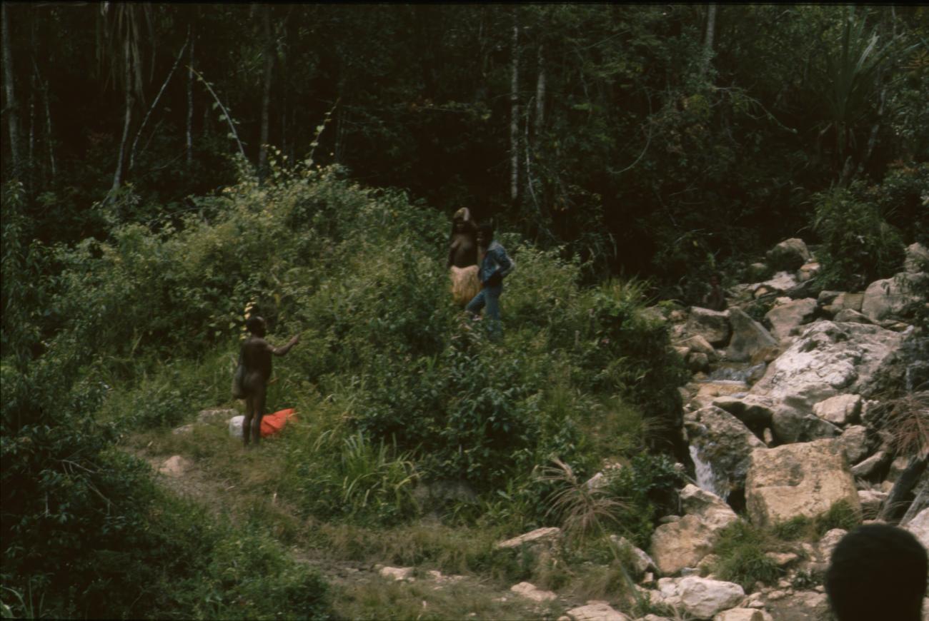 BD/166/326 -
Porters in the bushes