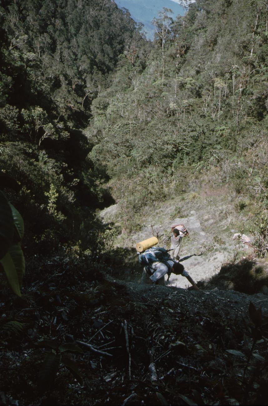 BD/166/338 -
Climbing