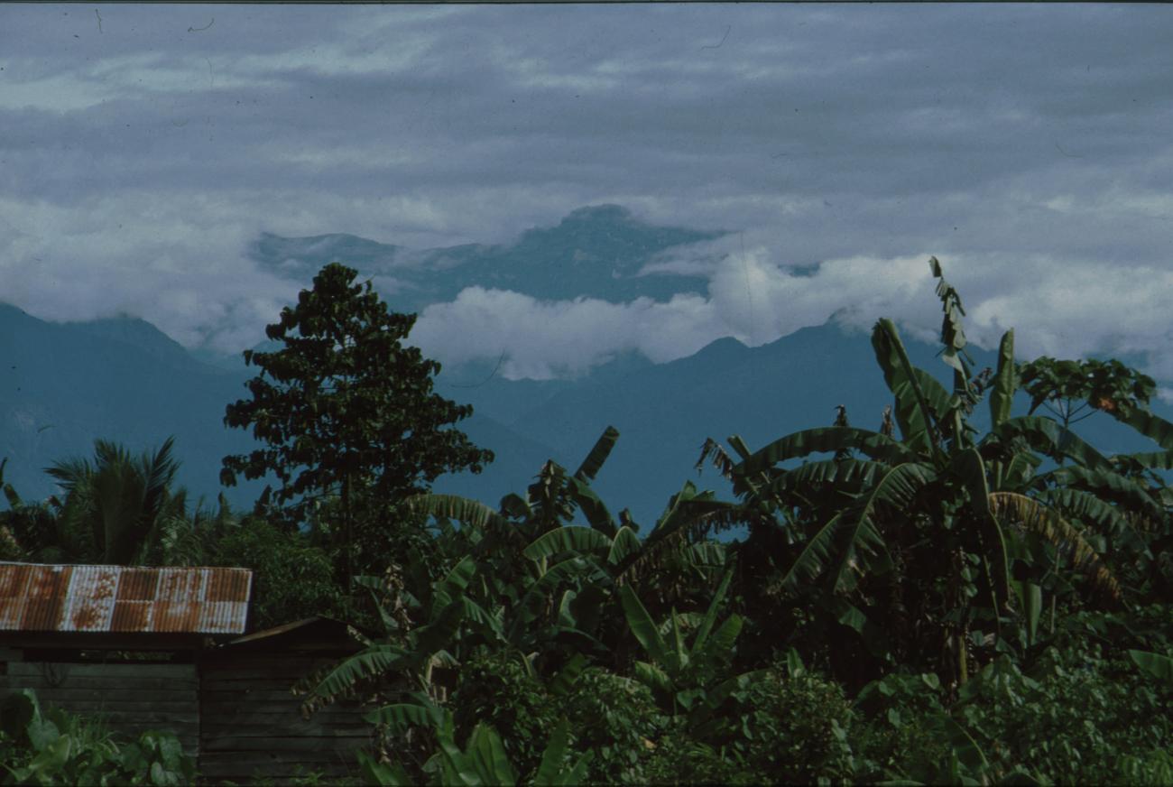 BD/166/347 -
View on the mountains