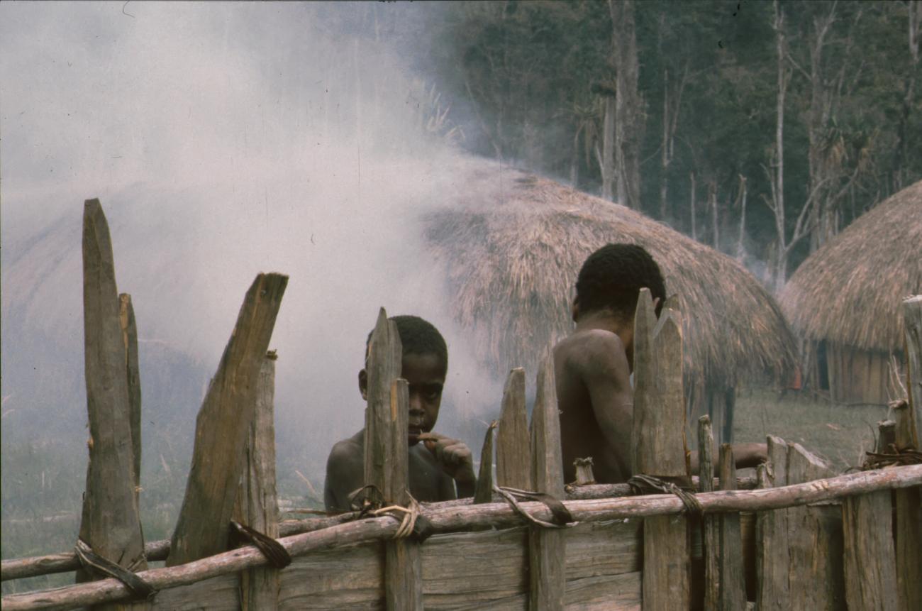 BD/166/352 -
Hut under smoke