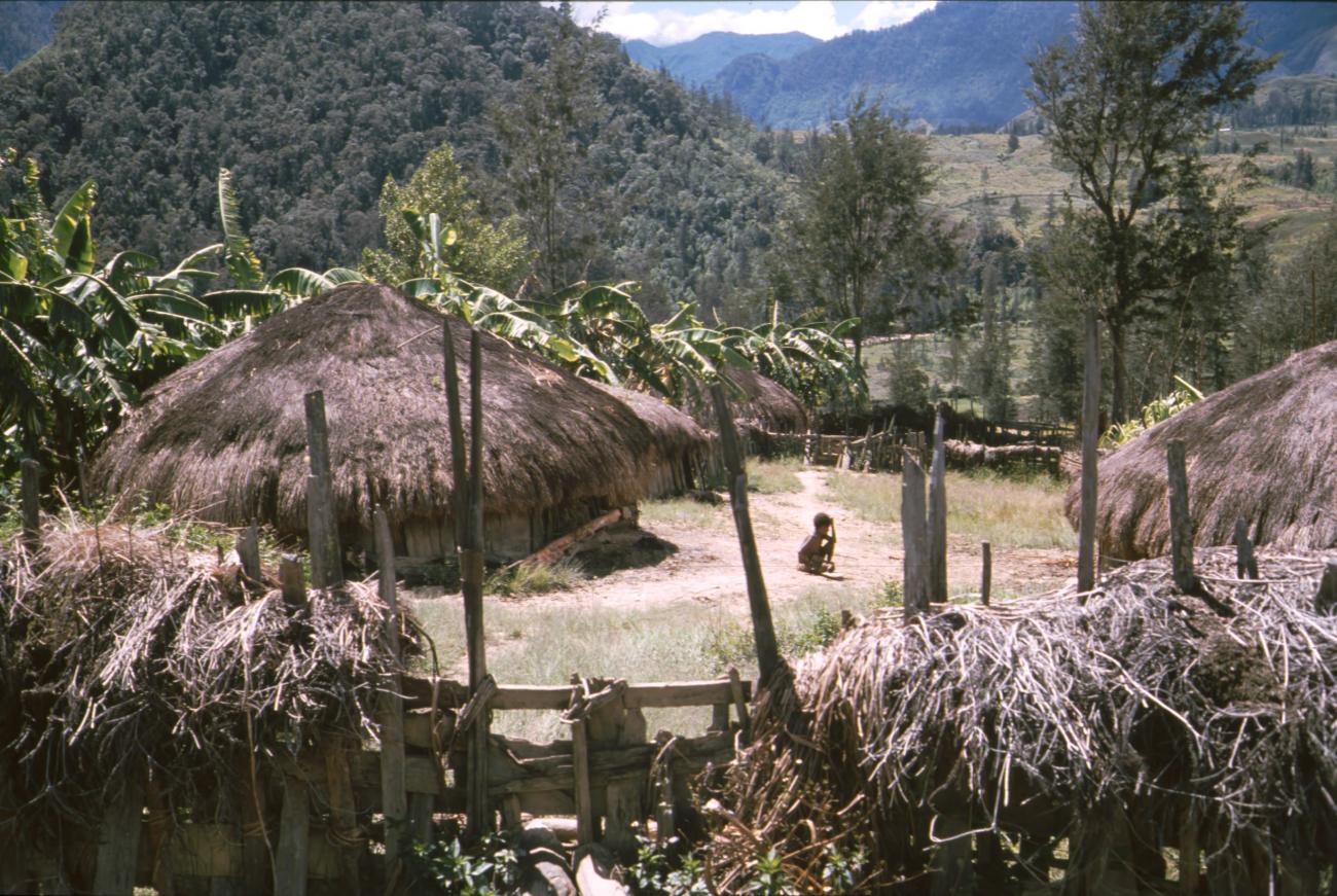 BD/166/364 -
Grass huts