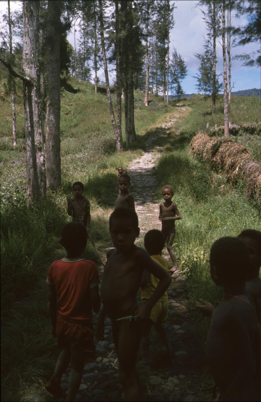 BD/166/370 -
Children on a tiny path