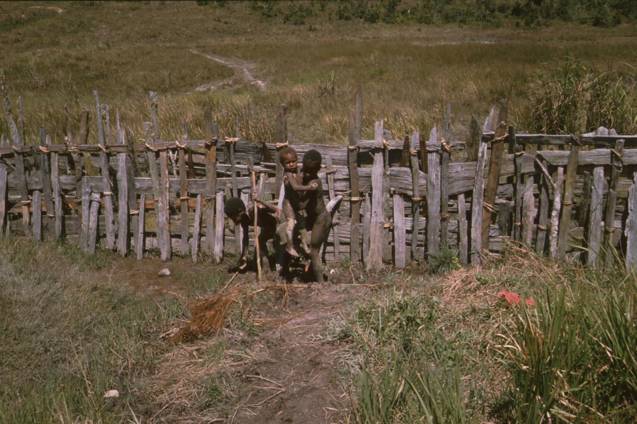 BD/166/375 -
Wattle fence