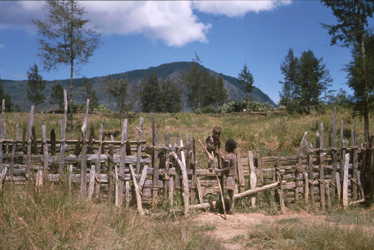 BD/166/375 -
Wattle fence