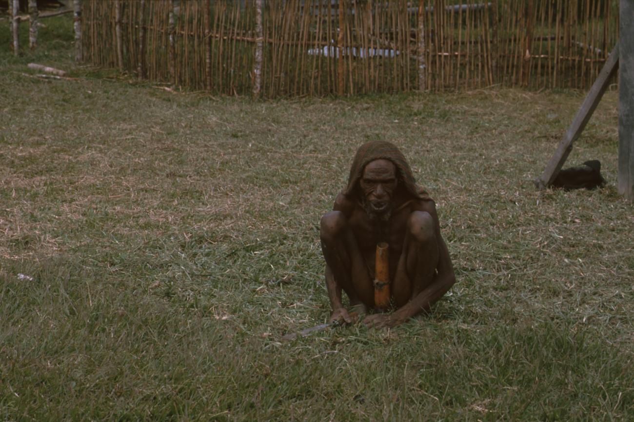 BD/166/377 -
Papua man is cutting his grass in a squating position