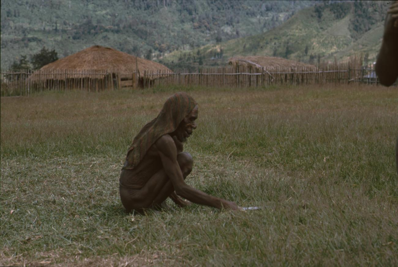 BD/166/377 -
Papua man is cutting his grass in a squating position