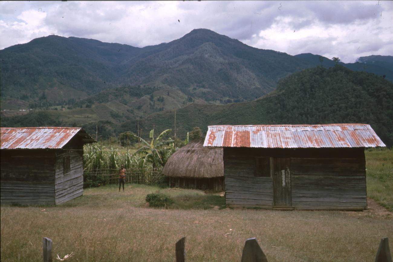 BD/166/379 -
Small houses made of grass, wood and CGI