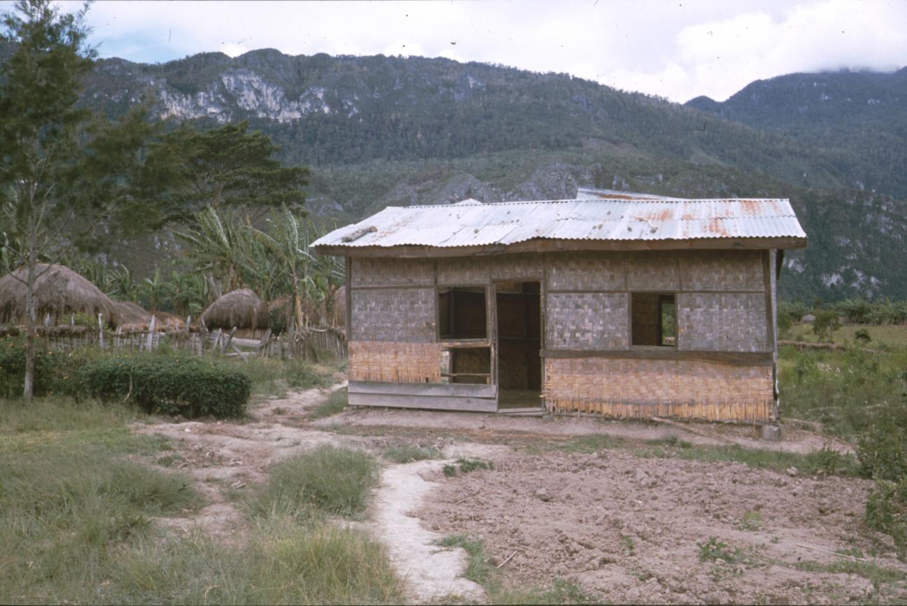 BD/166/380 -
Grass hut with CGI roof