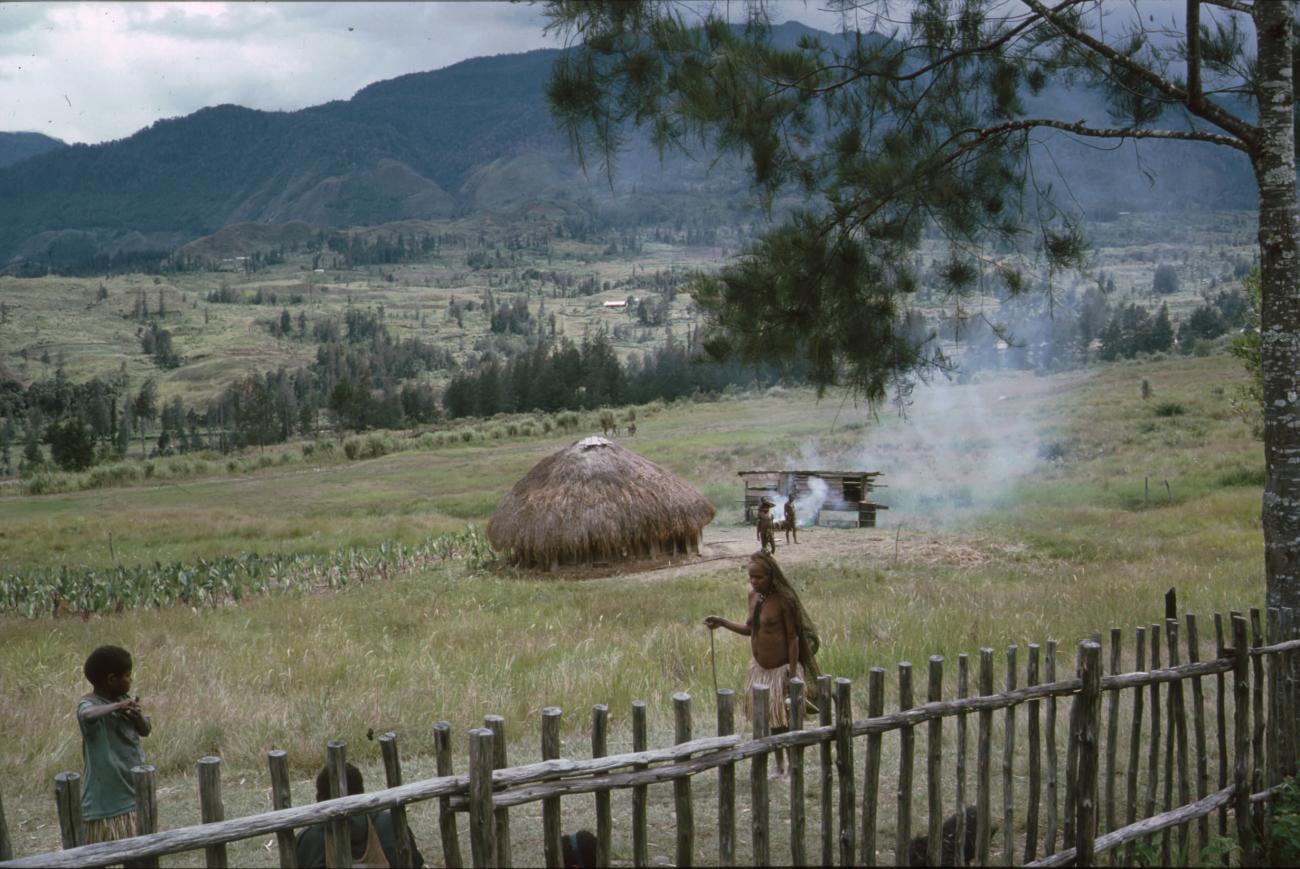 BD/166/387 -
Grass hut with fireplace