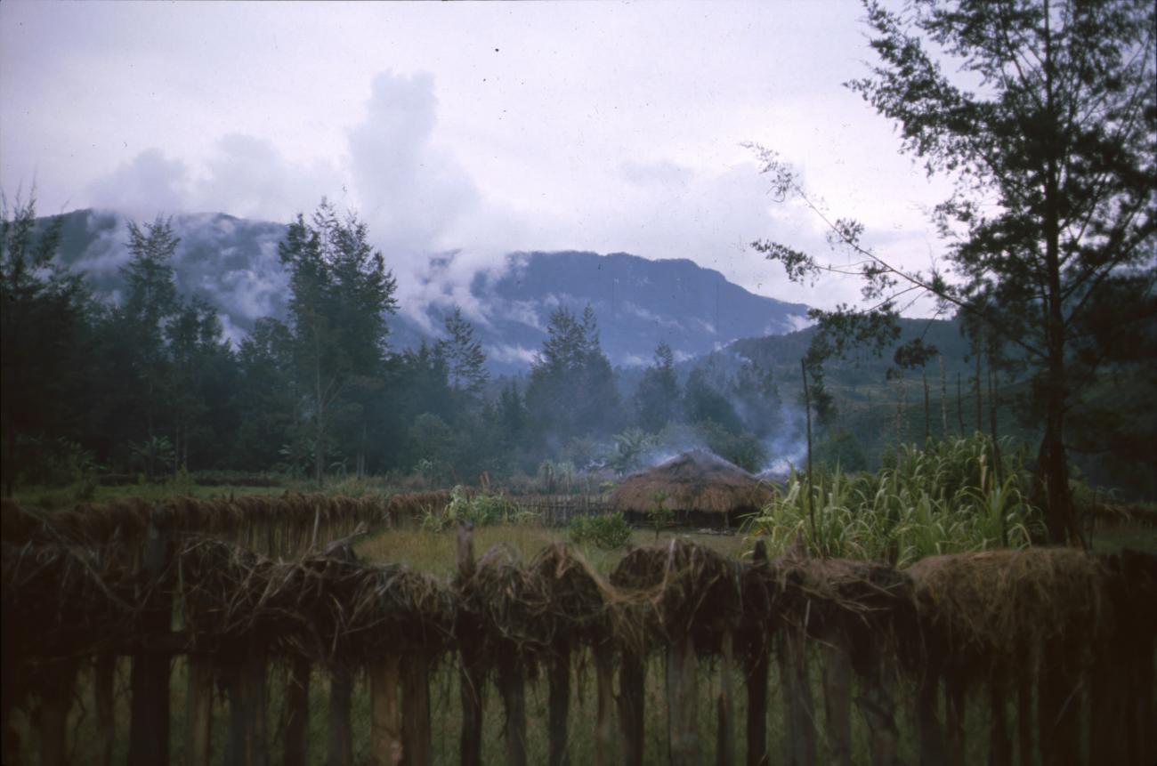BD/166/397 -
Fenced grass hut
