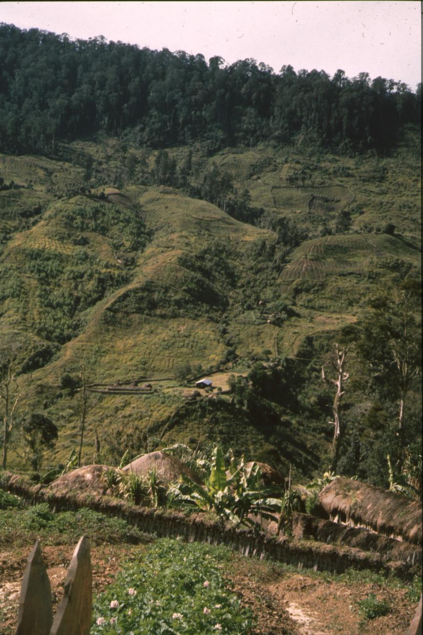 BD/166/407 -
View on a hilly valley