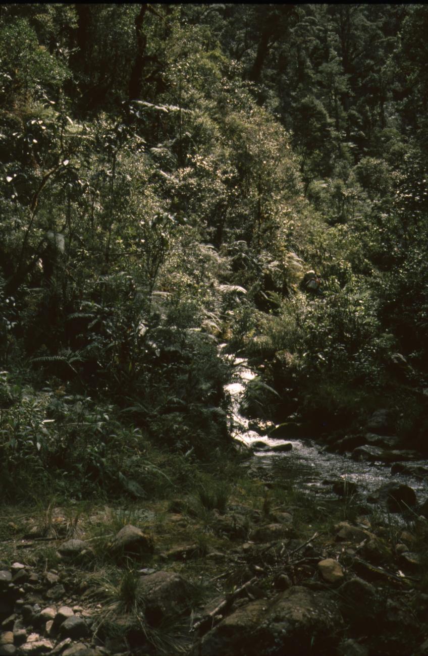 BD/166/410 -
Mountain stream