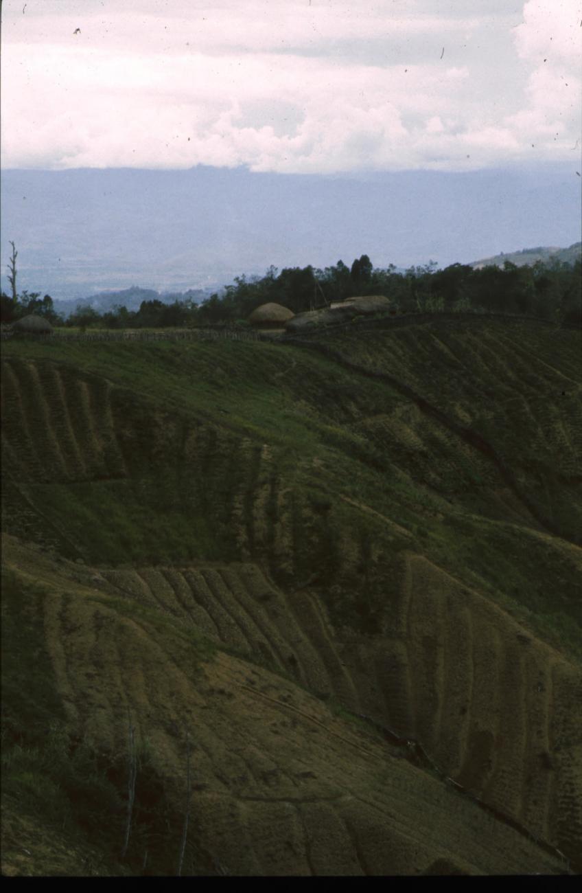 BD/166/413 -
A landscape divided into squares
