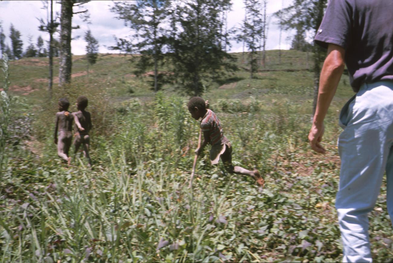 BD/166/415 -
Young boys playing in the green