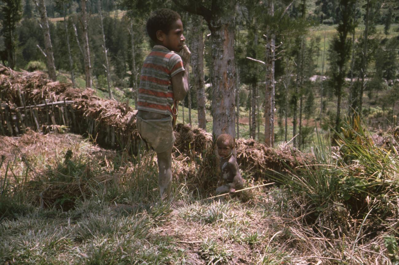BD/166/416 -
Child in polo shirt with a toddler