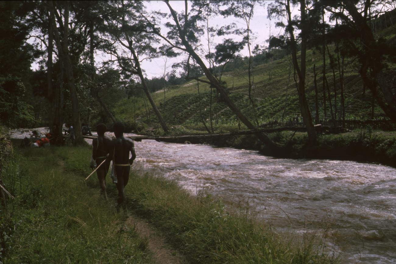 BD/166/429 -
The river