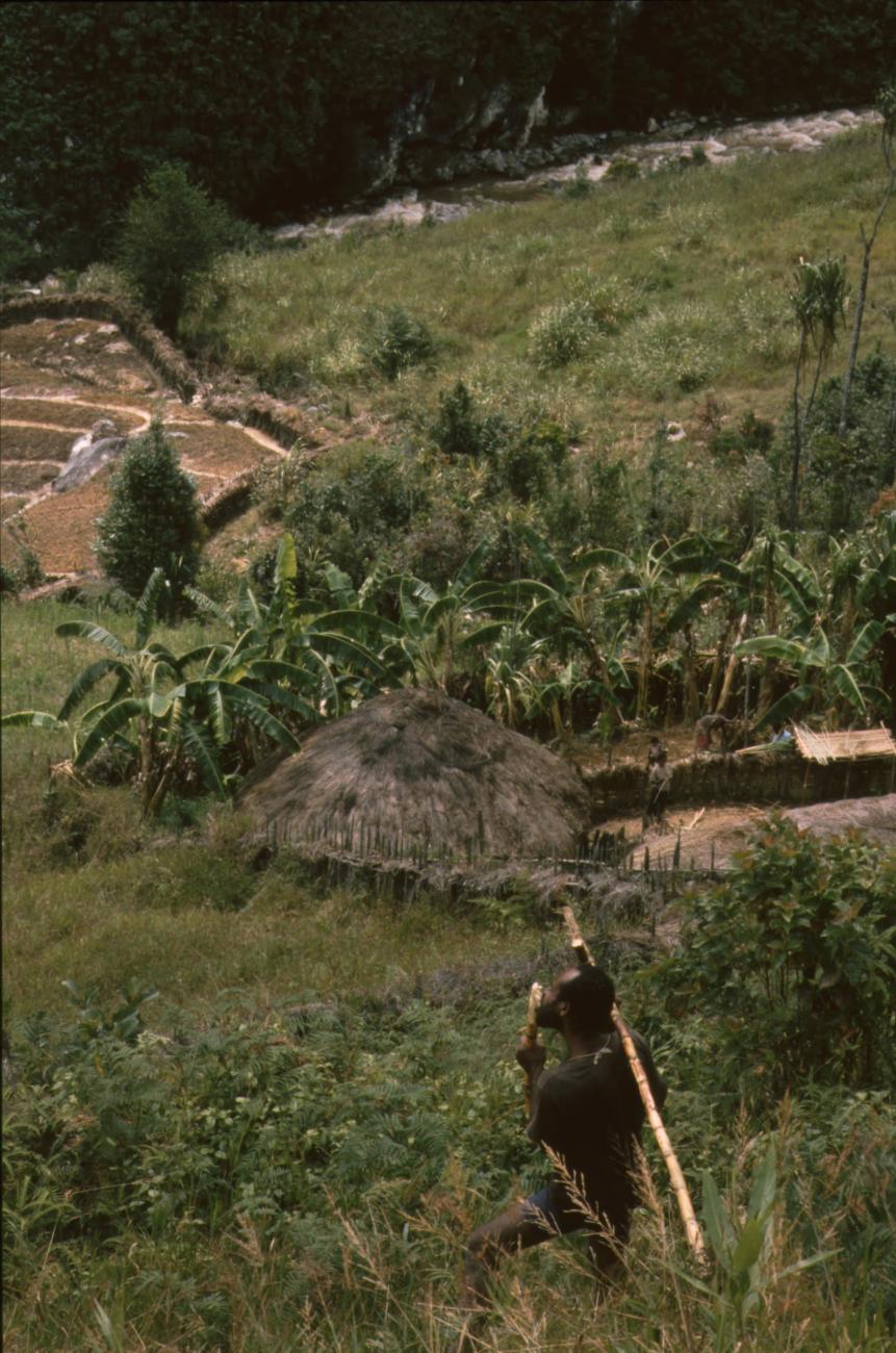 BD/166/431 -
Part of the village with a boy carrying bamboo