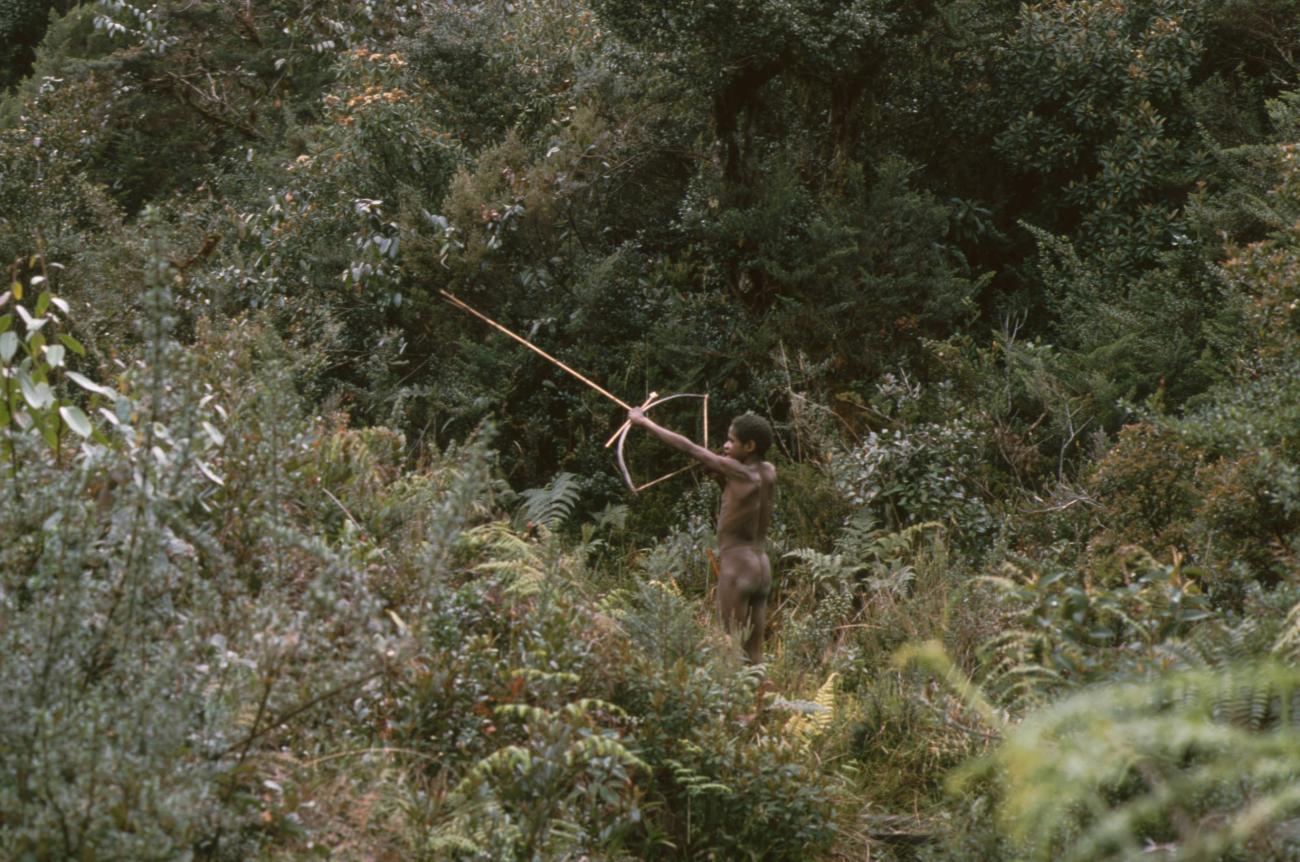 BD/166/6 -
Man in the forest with bow and arrow ready to attack
