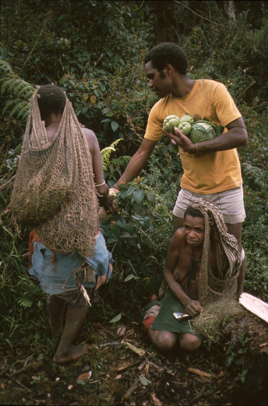 BD/166/92 - 
Collecting food
