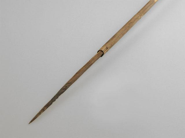 EA/245/10 -
pijl