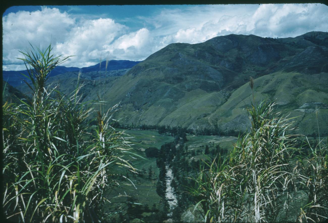 BD/209/1011 -
Valley
