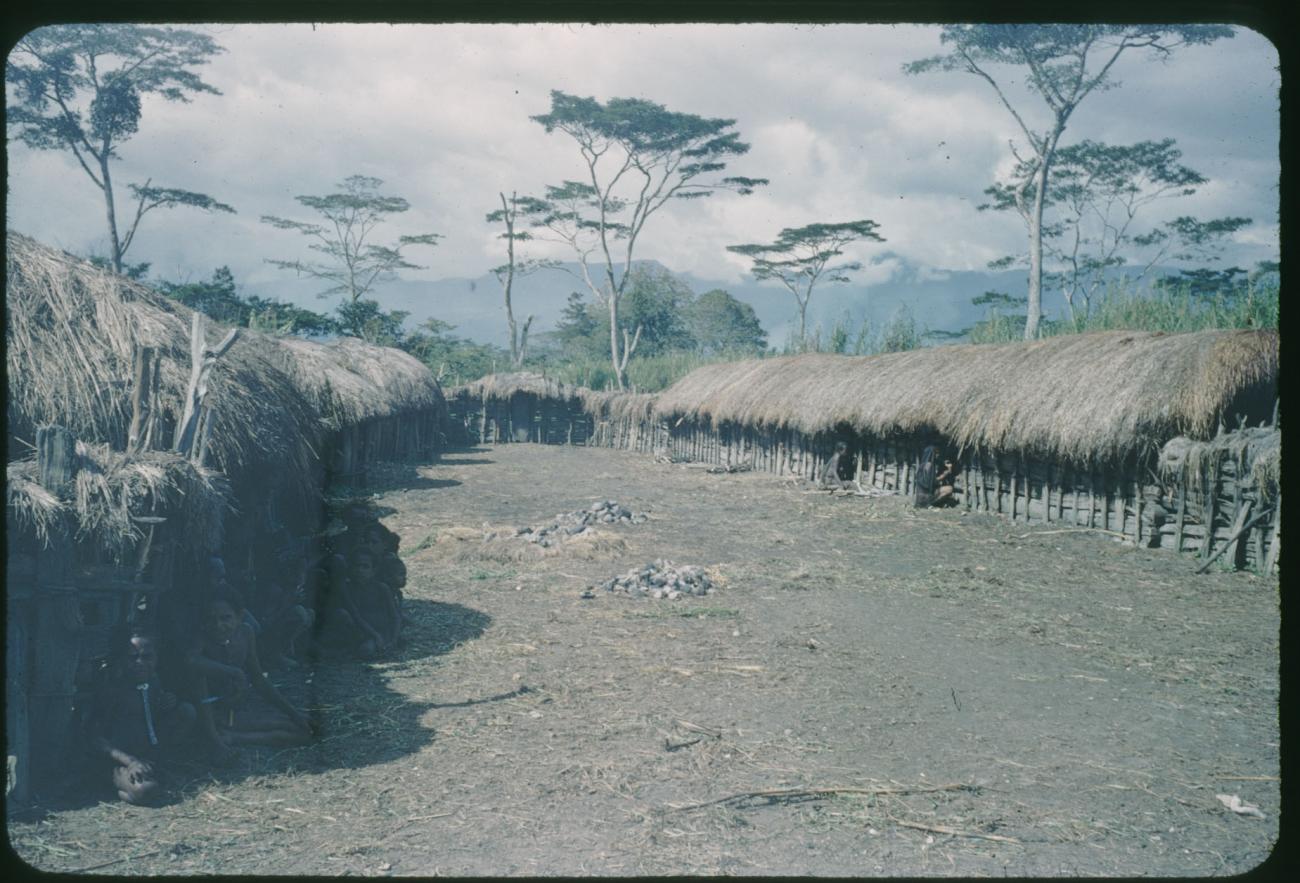 BD/209/1072 - 
Baliem Valley settlement
