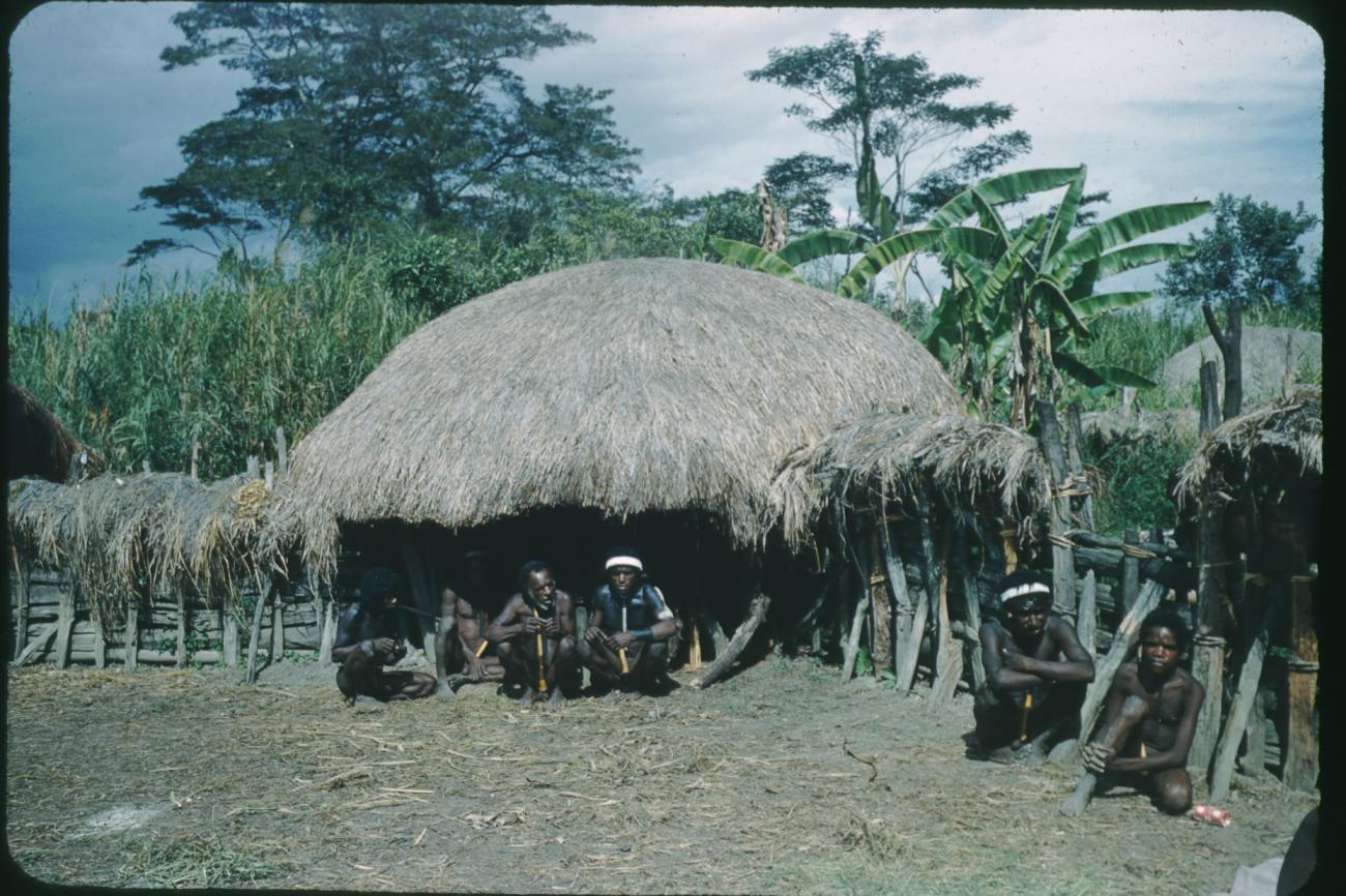 BD/209/1073 - 
Baliem Valley Settlement
