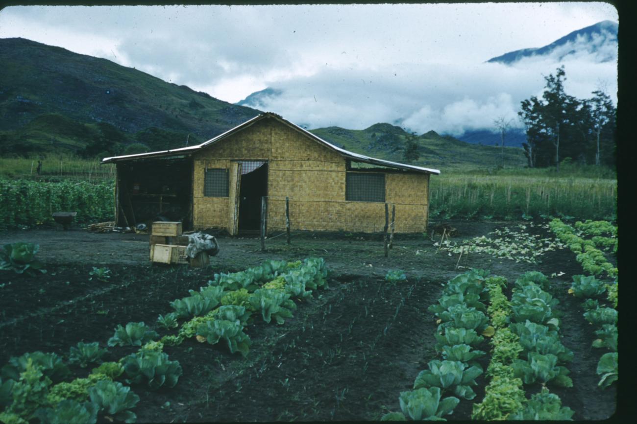 BD/209/1124 -
Moestuin en huis