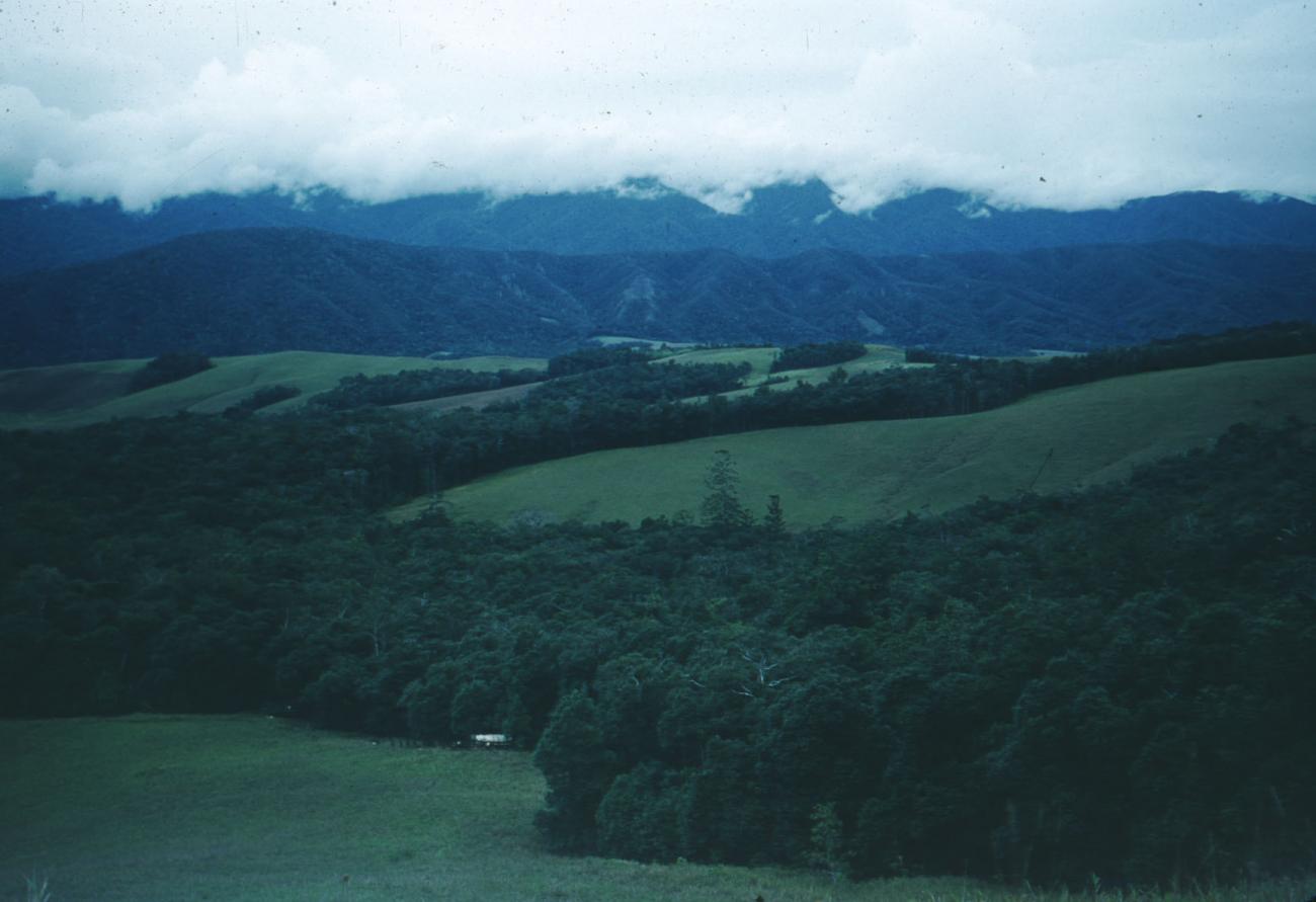 BD/209/2089 -
Valley with afforestation