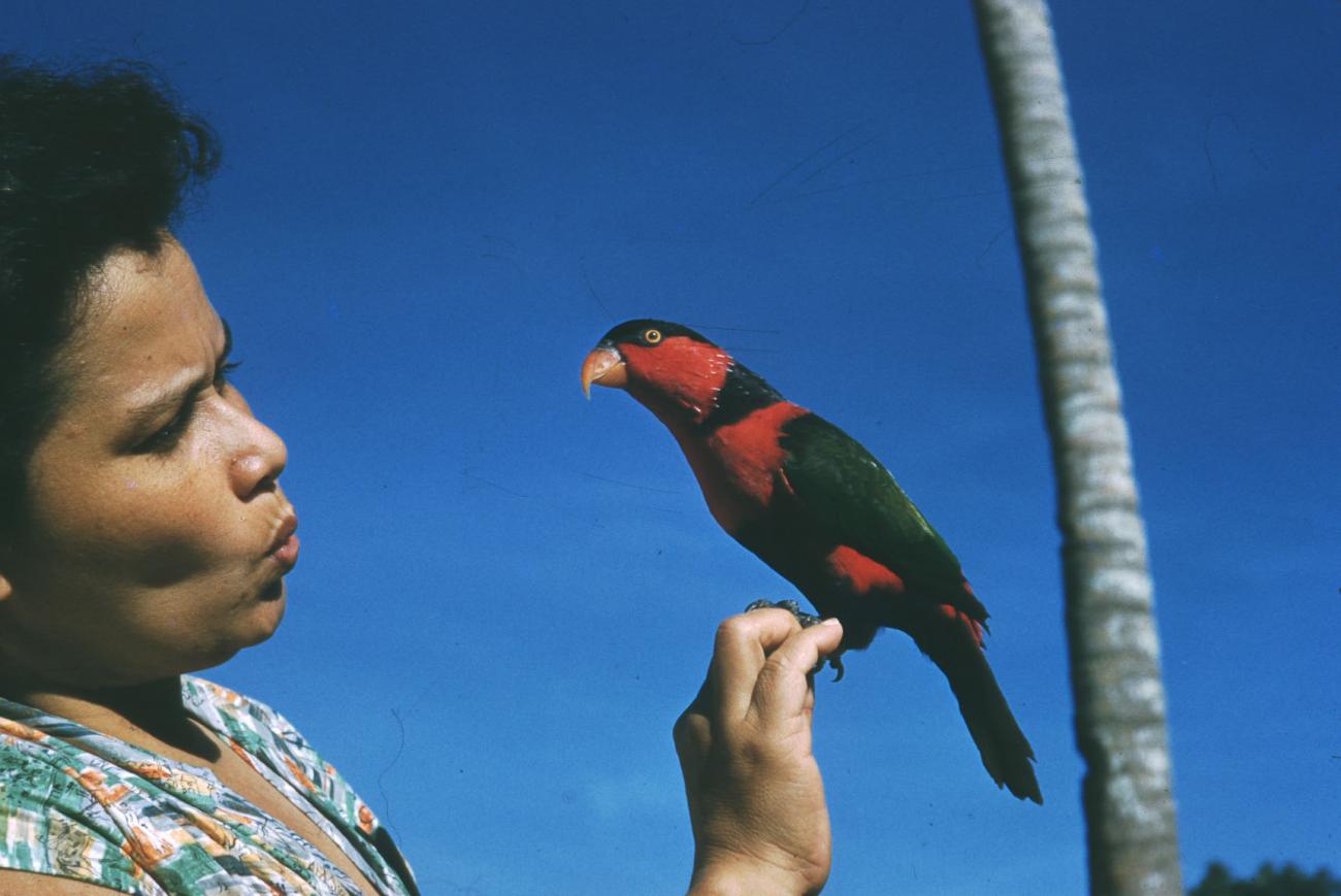 BD/209/3062 -
Vogel zit op hand van vrouw